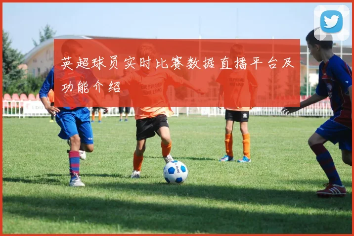英超球员实时比赛数据直播平台及功能介绍